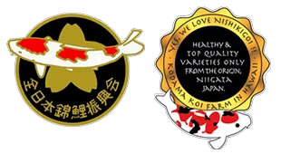Kodama Koi Farm
