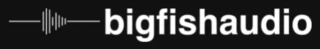 Big Fish Audio