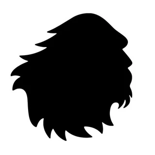 SATORISAN