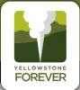 Yellowstone Forever