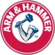 Arm And Hammer
