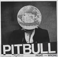 Pitbull Concert