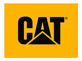 Cat Footwear