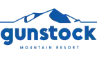 Gunstock